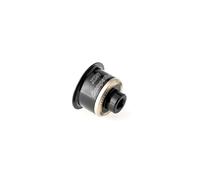 DT Swiss Adaptador Trasero WP XXXR QR B Sram XDR