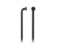 DT Swiss Champion - SCH023294S0100