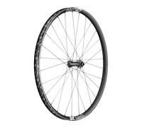 DT Swiss EX 1700 SPLINE Vorderrad | 29" | 15x110mm | Center Lock