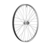 DT Swiss FR 1500 CLASSIC SILVER DEG DF LTD 30 Boost Disco 6 Agujeros 29" Rueda gris