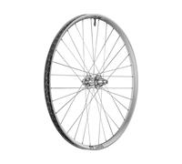 DT Swiss FR 1500 CLASSIC SILVER DEG DF LTD 30 Boost Disco 6 Agujeros 29" Rueda gris