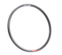 DT Swiss FR 571 29'' Llantas 29 Negro