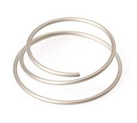 DT Swiss HXDXXX00N1087S Pluma, Adultos Unisex, Plata, Talla única