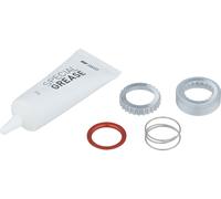 DT Swiss Kit de Servicio/actualización para bujes Ratchet EXP 54 Dientes