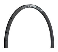 DT Swiss Llanta 29" Disco RR 481 negro 29" / 28 agujeros