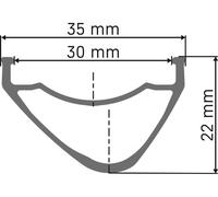 DT Swiss Rueda EX 1700 Spline 30 Disc 6 Agujeros 29"