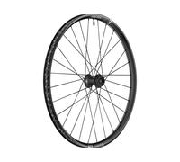 DT Swiss Rueda EXC 1500 Classic Disc 30 6 Tornillos 29"