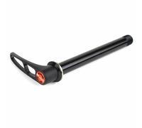 DT Swiss RWS 12x142mm E-THRU Trasero