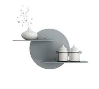 DTACBNEUZ Estante Flotante Estantes flotantes Estante de Pared, Sala Estar, Fondo TV, decoración, Flores for Plantas, Organizador Metal for Dormitorio, Cocina(Grey,Grande)