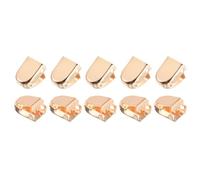DTGN 10mmx7mm(Lxw) Clips para Extremos de Cordones - Paquete de 30 - Bueno para Diferentes Zapatos - Clip de Cordones Elástico de Acero Inoxidable - Dorado Brillante