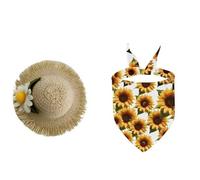 DTREELS Traje de ganso de verano para porche, trajes de ganso con sombrero y bandana, trajes de ganso para porche para trajes de 23 pulgadas, pastoral