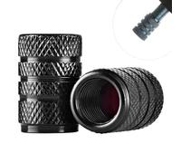 DTZHANGZE 4 Piezas Tapones de Válvula de Aluminio para Skoda Fabia 2014-2022 2023 2024 2025, Tapas Antipolvo de Metal Cromado para Automóvil, Tapones Ruedas Coche para válvulas