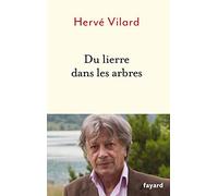 Du lierre dans les arbres
