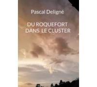 Du Roquefort Dans Le Cluster (ebook)