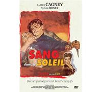 Du sang dans le soleil [Francia] [DVD]