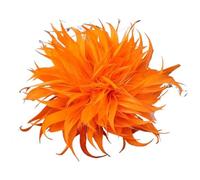 DUANGYMM Broche de Plumas, Broches de Plumas y Ramillete for Mujer, Elegantes alfileres Solapa con Flores, Insignias for Bodas Fiestas, Accesorios joyería(Orange)