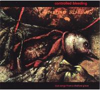 Dub Songs from a Shallow Grave