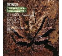 Dub Syndicate - Research & Development
