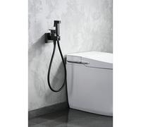 Ducha higiénica inodoro Irlanda (Black Gun)