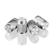 DUCHSAN 4 Pcs Tapones de Válvula Neumático para Seat Ateca 2016-2025, Tapas de Vástago en Aleación de Aluminio, Antipolvo Moleteado,Silver