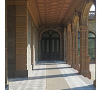 Ducks Ltd. Modern Fiction (CD) Album (Importación USA)