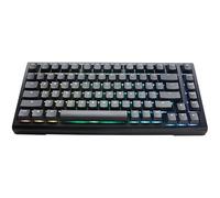 Teclado Mecânico Ducky Tinker65 75% RGB Black MX Brown (ES)