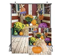 Dudaavct Fondo para fotografía de Halloween de 8 pies x 8 pies, telón de Fondo de Luna, Paisaje de fantasía, Vieja Puerta, Piedra, Fondo de Estudio Q0290808