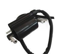 DUDUYANG Alternador Bobina Encendido Bobina De Encendido Eléctrico Universal para Motocicleta para Suzuki para EN para GN para GS 125 125cc