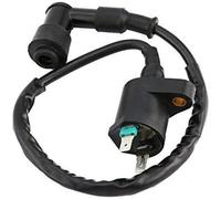 DUDUYANG Alternador Bobina Encendido para Motocicletas, Motos De Cross, Vehículos Todo Terreno Bobina Encendido Universal Encendido Arranque Motor Motocicleta
