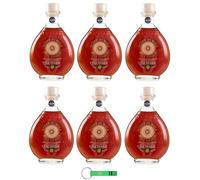 Due Vittorie Vinagre de sidra de manzana envejecido en barrica Aceto di Mele Botella de cristal 6 x 250 ml + llavero Beni Culinari gratis