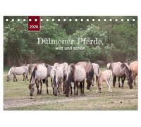 Dülmener Pferde, wild und schön (Tischkalender 2026 DIN A5 quer), CALVENDO Monatskalender: Die LETZTEN ihrer Art in Europa ...