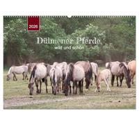 Dülmener Pferde, wild und schön (Wandkalender 2026 DIN A2 quer), CALVENDO Monatskalender: Die LETZTEN ihrer Art in Europa ...