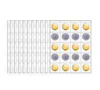 DUGYIRS 10 Hojas Páginas de Monedas-20 Bolsillos,Páginas de Bolsillo para Monedas con Estándar de 9 Hoyos para Monedero de Cartón de 50x50 mm, Colección de Sellos de Monedas