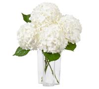DuHouse 3 hortensias Artificiales Grandes, 50 cm, látex de Tacto Real, hortensias realistas para el hogar, Ramos de Boda, centros de Mesa, Fiestas, decoración de Sala de Estar (Blanco)