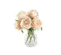 DuHouse 5 Rosas de Seda Falsas con Tallos de Tacto Real, peonía de látex, Flores Falsas para arreglo, Boda, Fiesta, decoración del hogar(Champán)