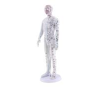 Duiaynke Modelo de acupuntura humana de PVC suave para herbolario, figura de médico, cuerpo, acupuntura china, meridianos transparentes y suministros educativos de acupuntura (macho)
