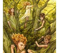 Duke 72 - The Mid Shires Herald [Vinilo]