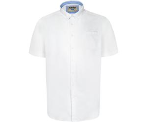 Duke Camisa D555 James de Oxford de Manga Corta para Hombre (DC461)