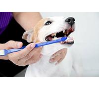 Duke's Pet Products Juego de cepillos de dientes para perros de dos piezas: cepillos de higiene dental caninos de doble cara con asas largas de 8 1/2 pulgadas y cerdas súper suaves