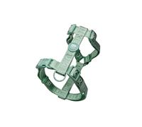 Dukier Arnés Clásico Color Verde para perros