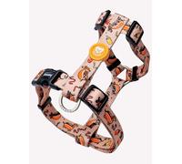 DUKIER - Arnés Clásico para Perro, Chaleco Antitirones, Ajustable y en Forma de H para Mascotas, Homologado, con Cierre de Seguridad de 4 Puntos, Diseño Hot Dogs, Perro teckels, Talla M