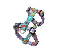 DUKIER - Arnés Clásico para Perro, Chaleco Antitirones, Ajustable y en Forma de H para Mascotas, Homologado, con Cierre de Seguridad de 4 Puntos, Diseño de Gummy Bears con Doble Impresión, Talla S