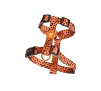 DUKIER - Arnés Clásico para Perros, Ajustable, Resistente, Accesorio Mascotas, contra Tirones, Cheetah Gold, Leopard Gold, Talla M