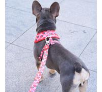 Dukier Correa Diseño Berry Love para perros