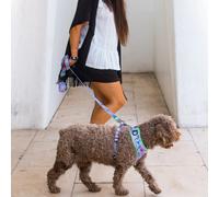 Dukier Correa Estampado Alien para perros