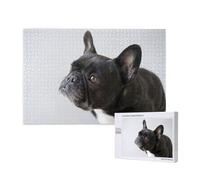 Dulce Mascota, Lindo Cachorro de Bulldog francés Negro,Rompecabezas de Madera de 1000 Piezas para Adultos y Adolescentes.