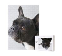 Dulce Mascota, Lindo Cachorro de Bulldog francés Negro,Rompecabezas de Madera de 300 Piezas para Adultos y Adolescentes.