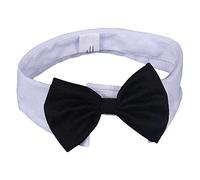 DULEE Pajarita para mascotas ajustable, disfraz formal para perro, gato, collar de corbata, accesorios de aseo para cachorros, perros pequeños y gatos, blanco, M: 31-36 cm