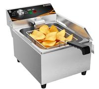 DULNICE Freidora Eléctrica Industrial 6L,Fritidora eléctrica profesional de acero inoxidable de 3000 W con regulación de temperatura entre 60 y 200 °C, con tapa para uso doméstico y comercial