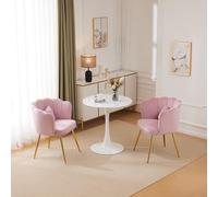 DUlVBPE Juego de 2 sillas de salón de terciopelo modernas, sillas de baño, sillas acolchadas con respaldo de pétalos, patas de metal doradas y cojines de mariposa para dormitorio, comedor